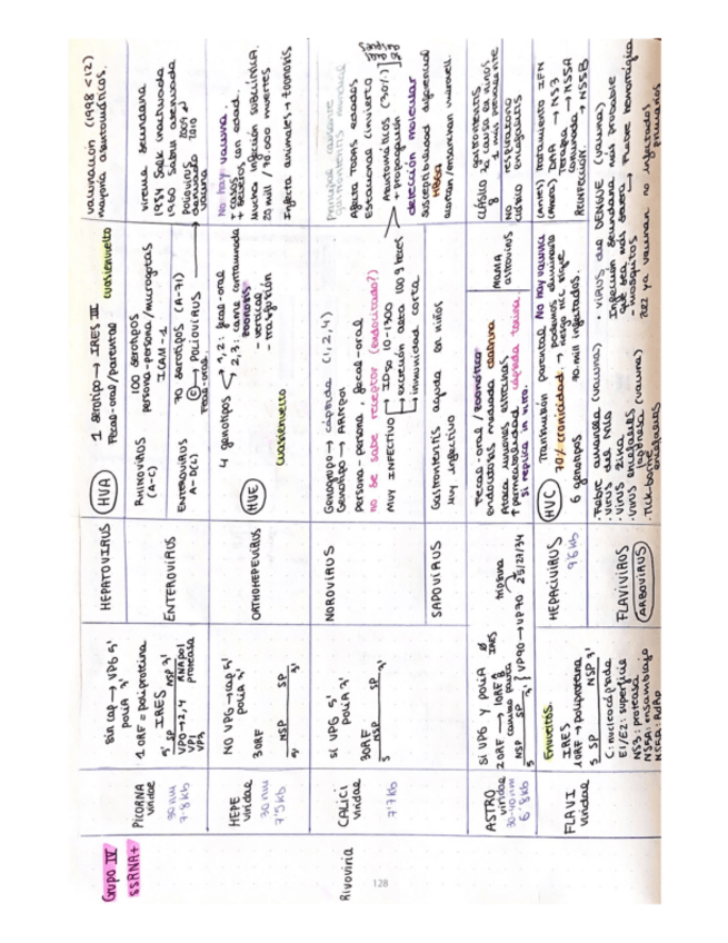 Miniatura del documento Virologia-tabla-comparativa-ssARN.pdf
