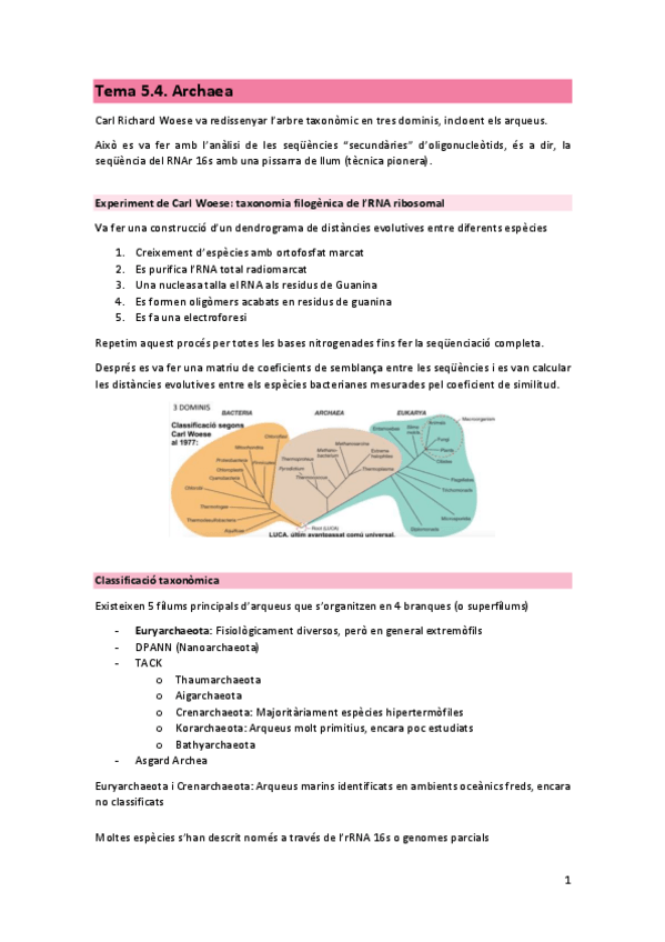 Miniatura del documento T5.4.-MIC.pdf