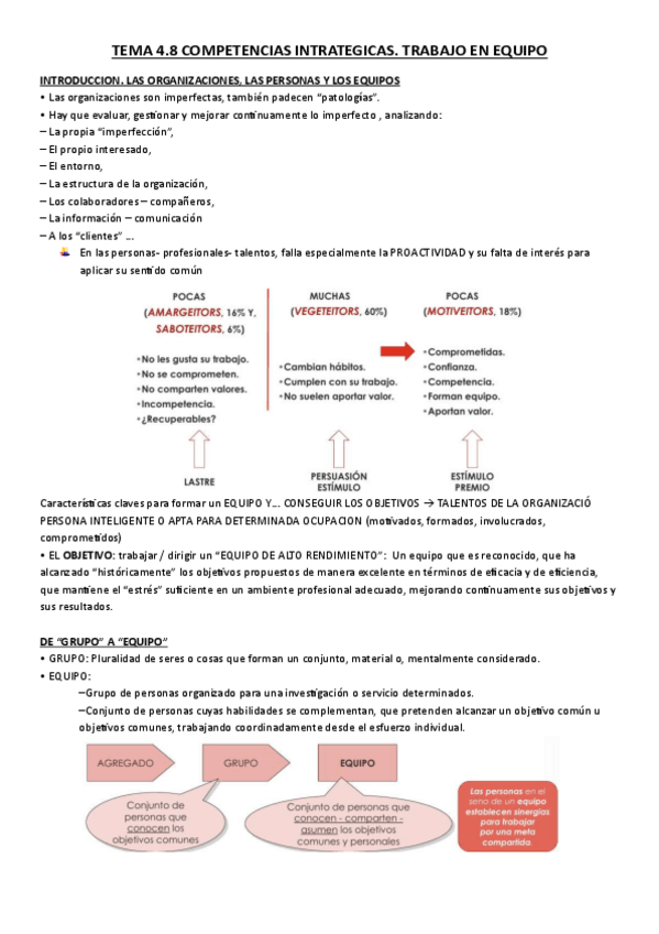 Miniatura del documento TEMA-4.8-HABILIDADES.pdf