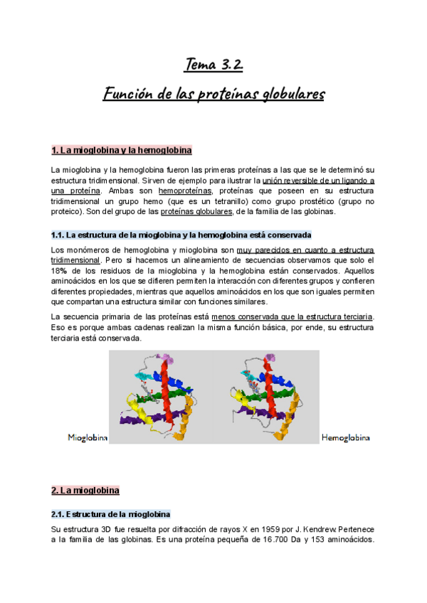 Miniatura del documento Apuntes-Tema-3.2.-Bioq-I-Funcion-de-las-proteinas-globulares.pdf