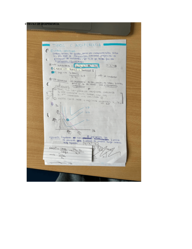 Miniatura del documento TEMA-1.pdf