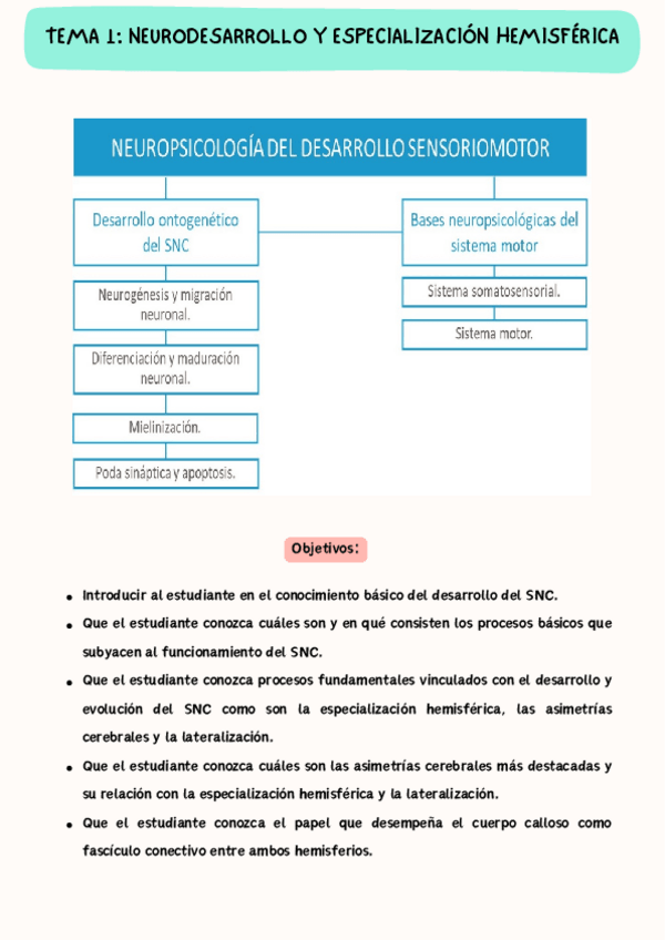 Miniatura del documento TEMA-1-NIVELES-TACTILES.pdf