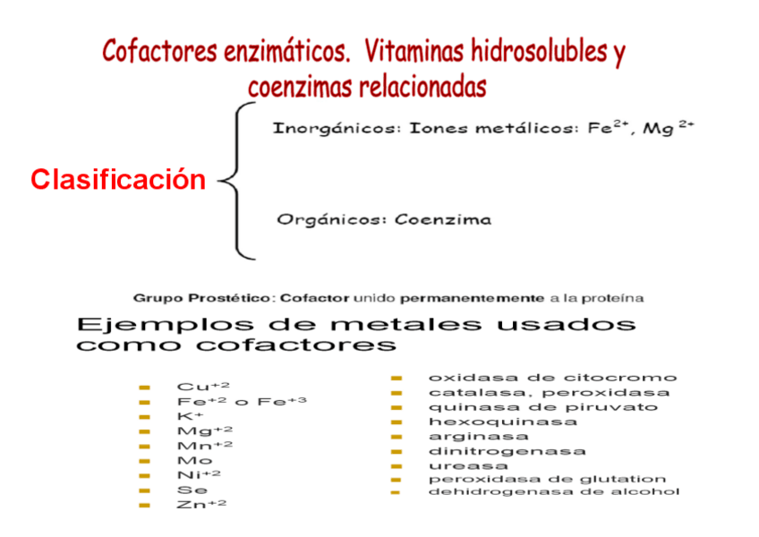 Miniatura del documento clase-8NHD.pdf