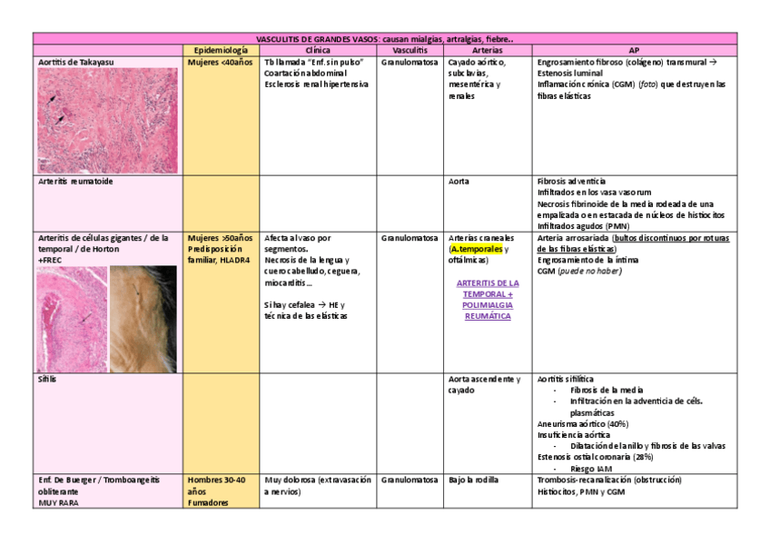 Miniatura del documento AP.6.PDF