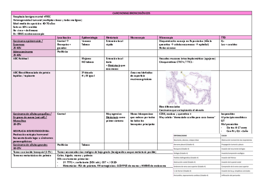 Miniatura del documento AP.29.PDF