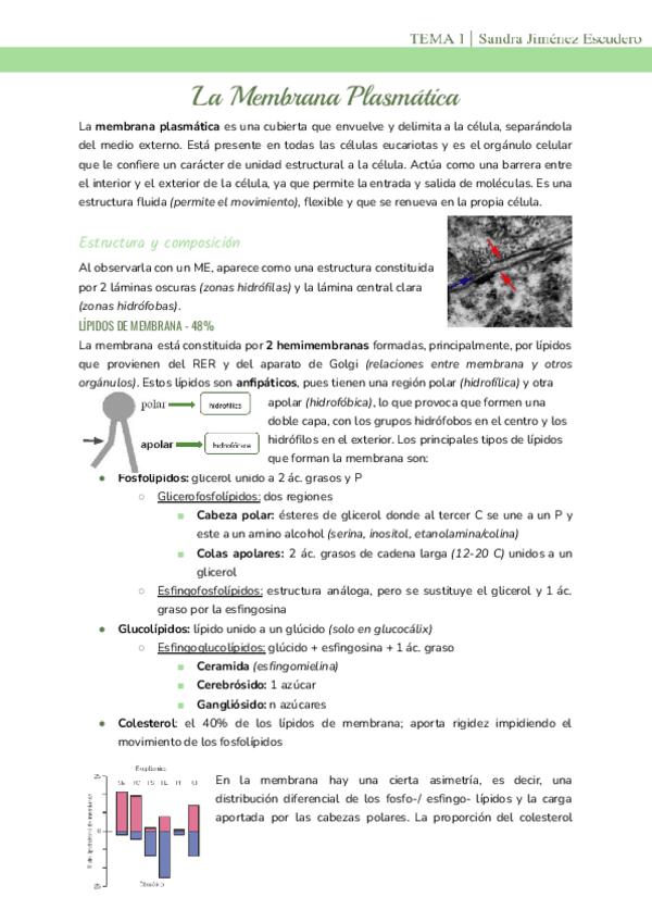 Miniatura del documento Tema-1-La-Membrana-Plasmatica.pdf