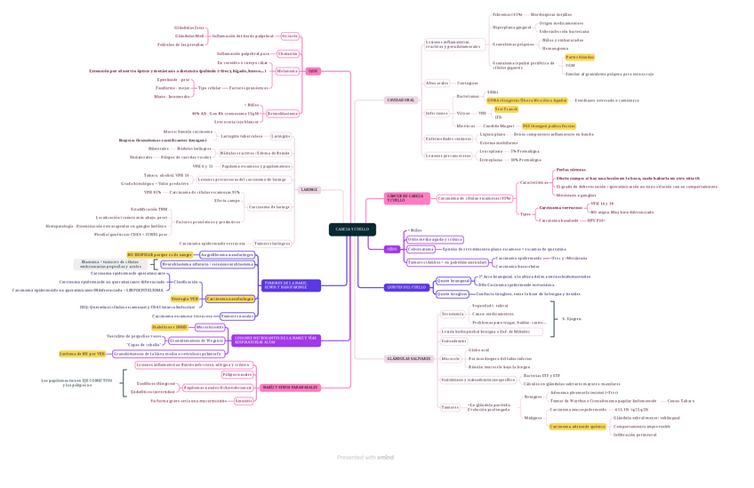 Miniatura del documento CABEZA-Y-CUELLO.pdf