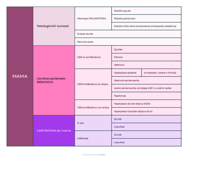 Miniatura del documento MAMA.pdf