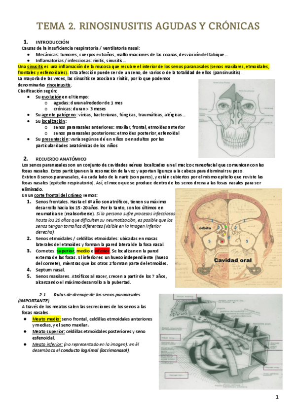 Miniatura del documento ORL.2.PDF