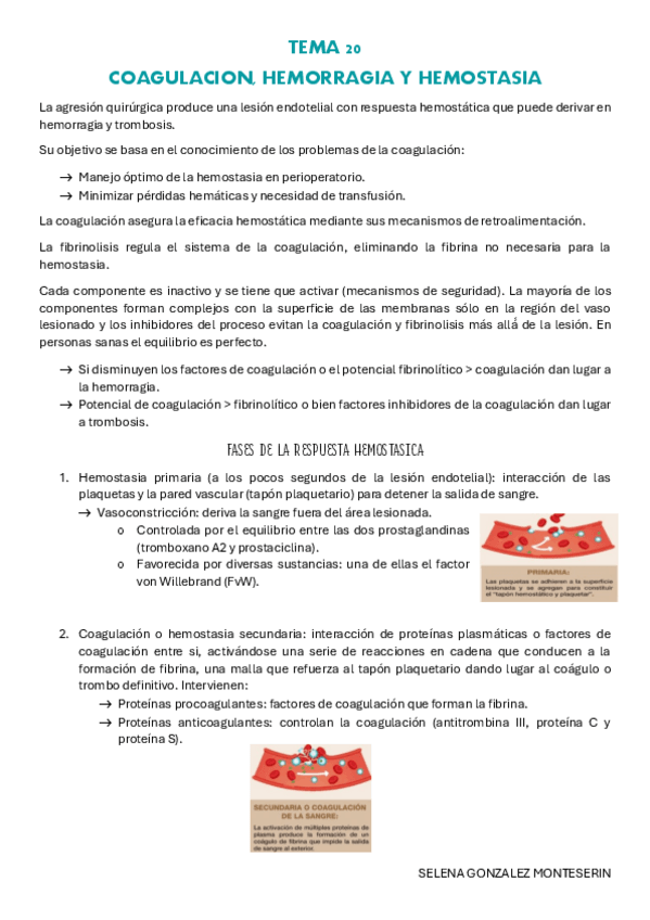 Miniatura del documento TEMA-20-pdf.pdf
