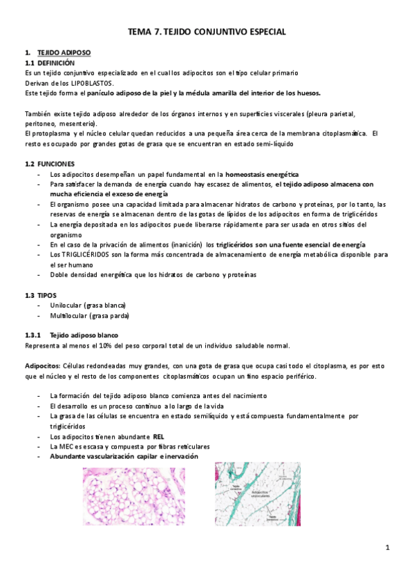 Miniatura del documento T7.-Histologia.pdf