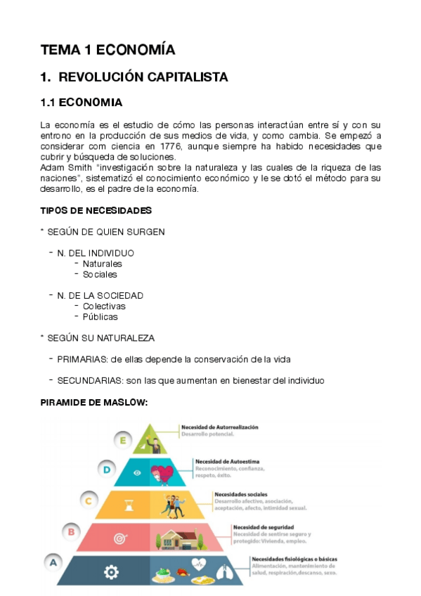 Miniatura del documento ECONOMIA-tema-1.pdf