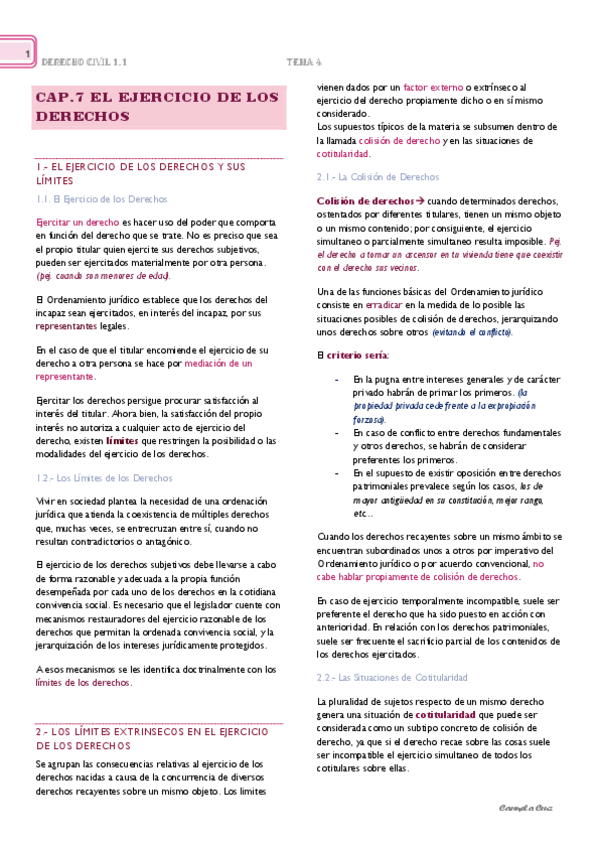 Miniatura del documento Cap.-7.-El-Ejercicio-de-los-Derechos.pdf