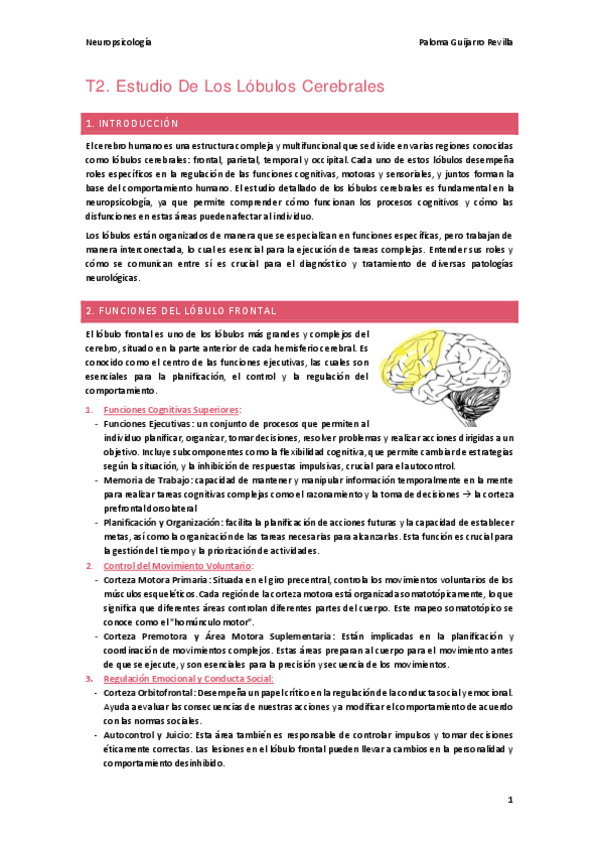 Miniatura del documento T2.-Estudio-De-Los-Lobulos-Cerebrales.pdf