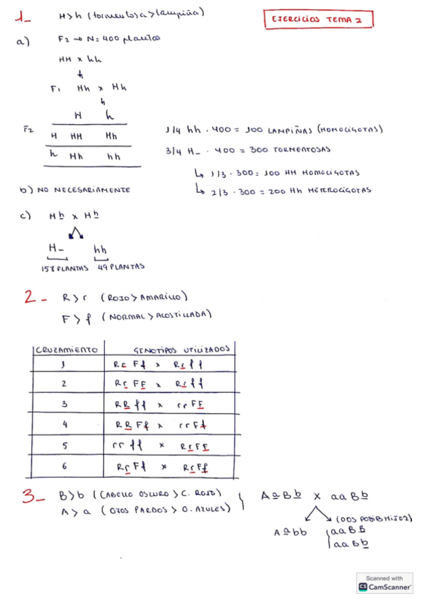 Miniatura del documento Ejercicios-Genetica-Tema-2.pdf
