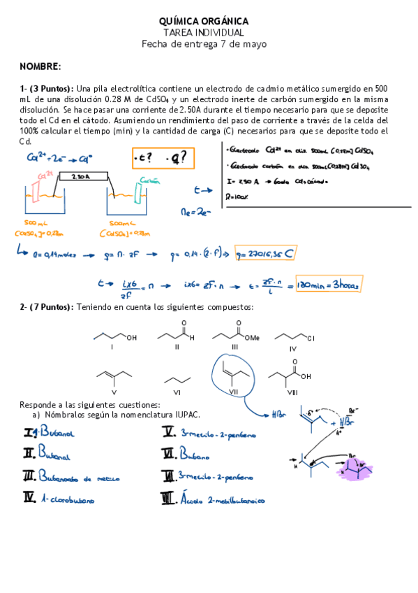 Miniatura del documento ENTREGA-ELECTROLISIS-ORGANICA-2024.pdf