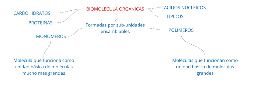 Miniatura del documento BIOMOLECULAS-ORGANICAS.pdf
