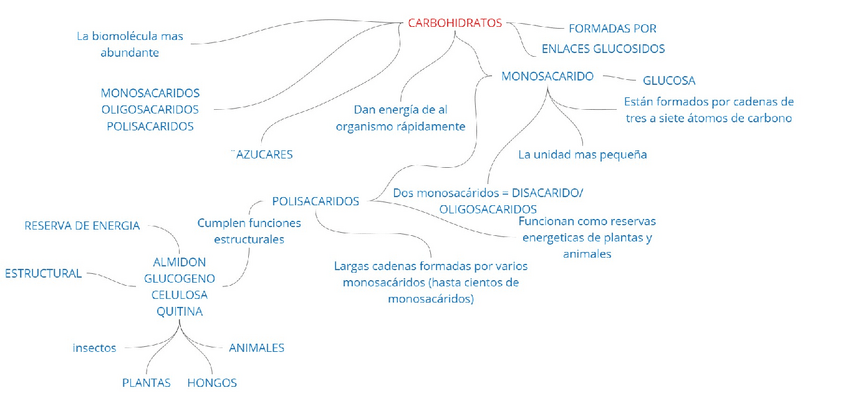 Miniatura del documento CARBOHIDRATOS.pdf