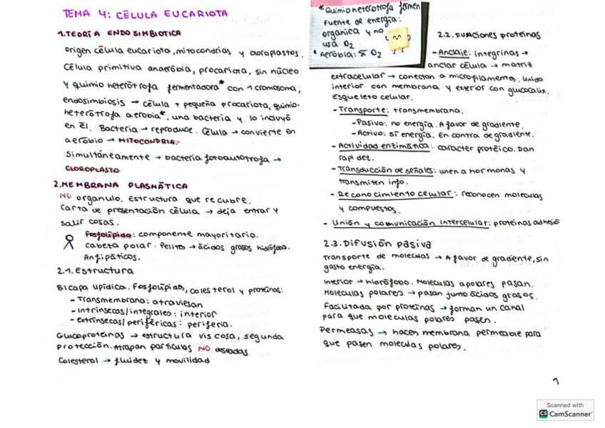 Miniatura del documento Resumen-Tema-4.pdf