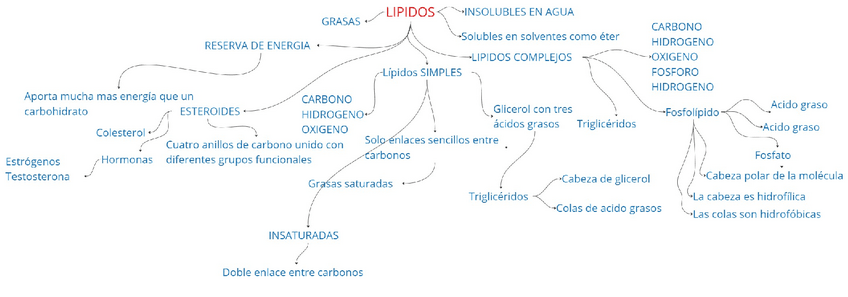 Miniatura del documento LIPIDOS.pdf