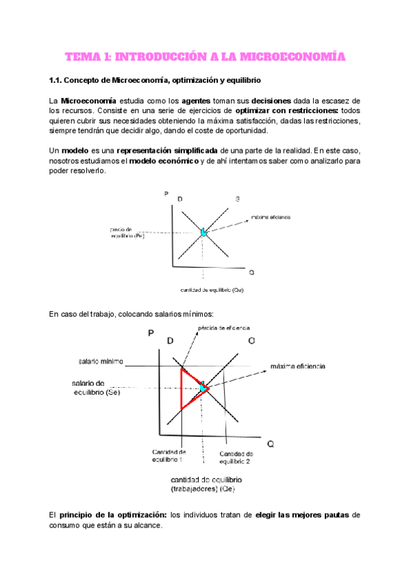 Miniatura del documento TEMA-1-INTRODUCCION-A-LA-MICROECONOMIA.pdf