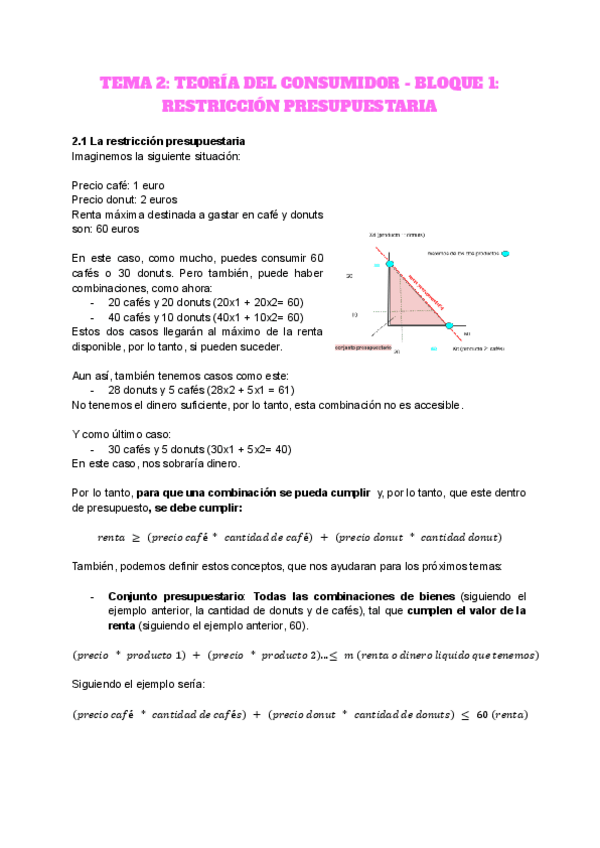 Miniatura del documento TEMA-2-TEORIA-DEL-CONSUMIDOR.pdf