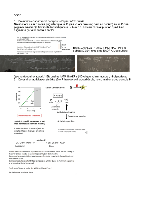 Miniatura del documento SBQ3.pdf
