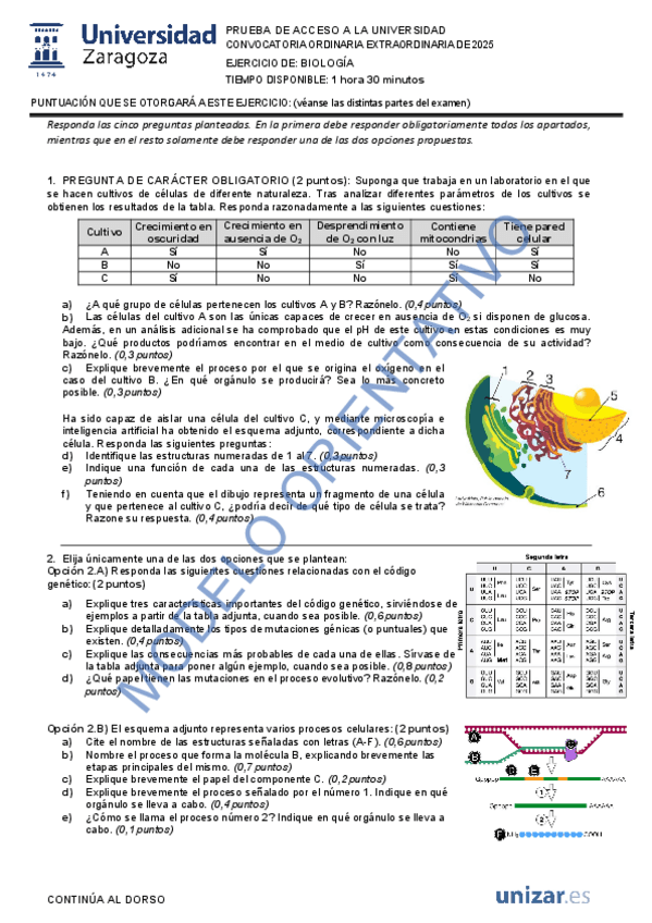 Miniatura del documento MODELO-PAU-BIOLOGIA-2025.pdf