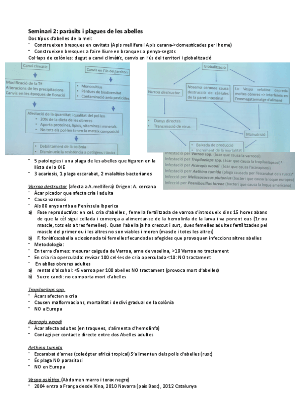 Miniatura del documento Seminari-2-parasito.pdf