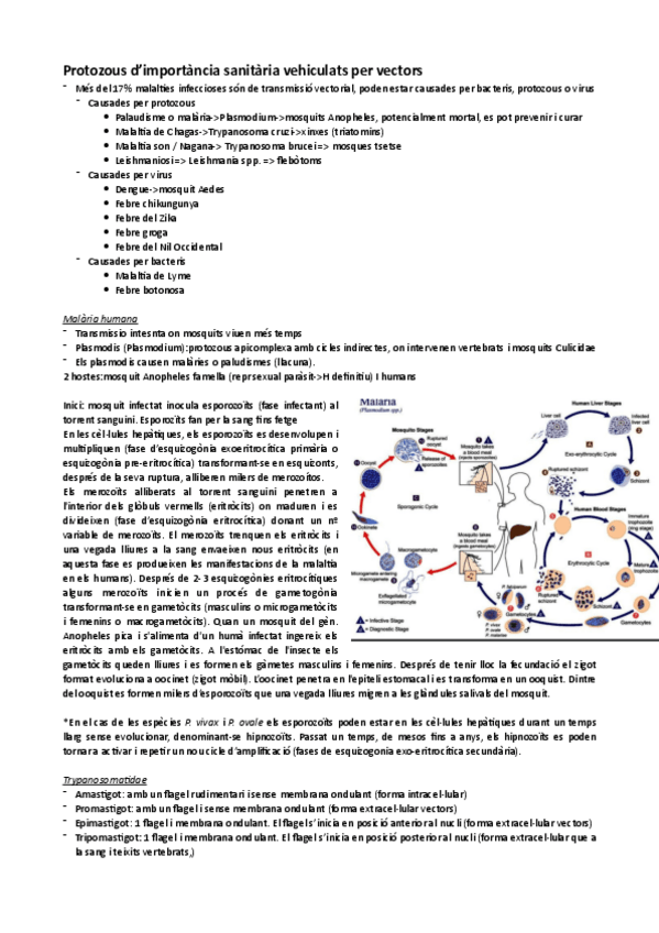 Miniatura del documento seminari-parasito.pdf