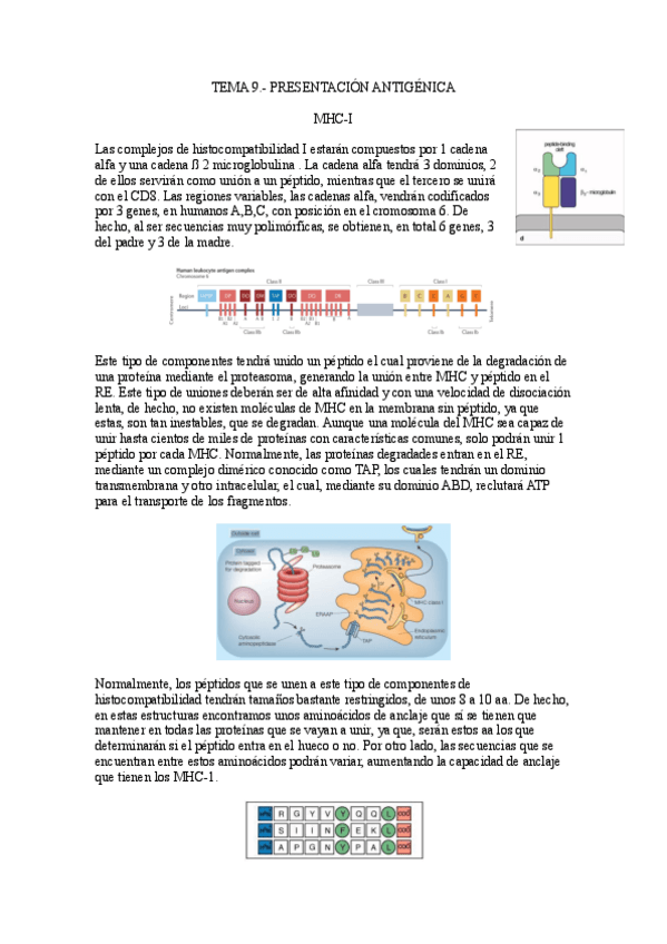 Miniatura del documento Tema-9.-Presentacion-antigenica.pdf