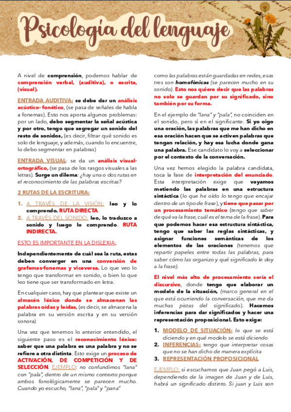 Miniatura del documento PSICO-LENGUAJE-T.4.pdf