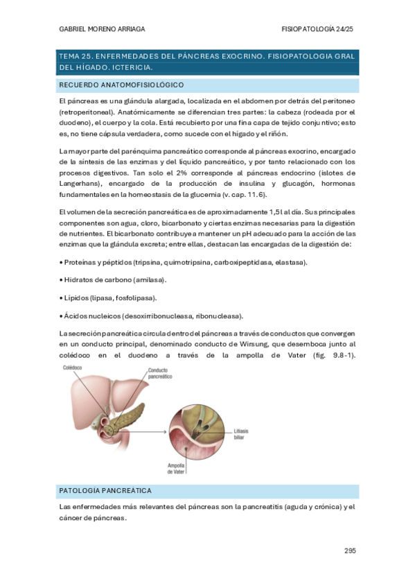 Miniatura del documento TEMA-25.pdf