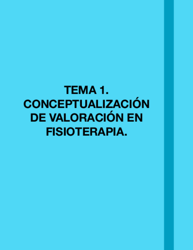 Miniatura del documento TEMA-1.VALORACION.pdf