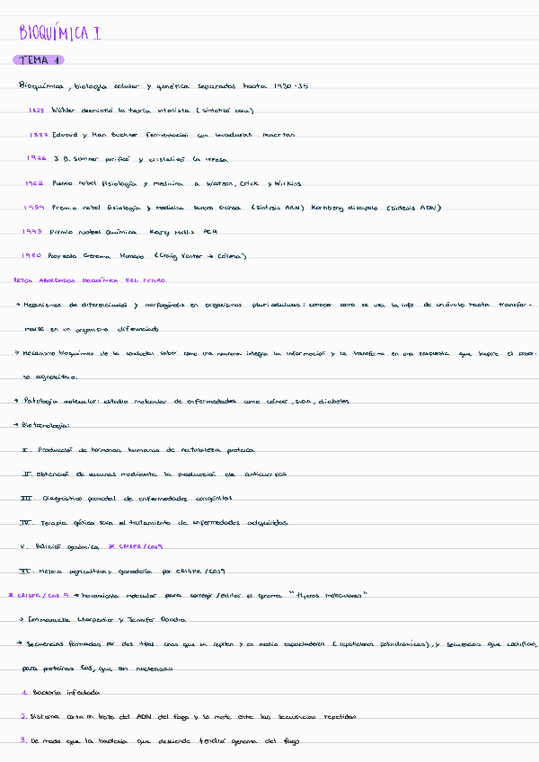 Miniatura del documento Apuntes-importantes-ejercicios-y-examenes.pdf