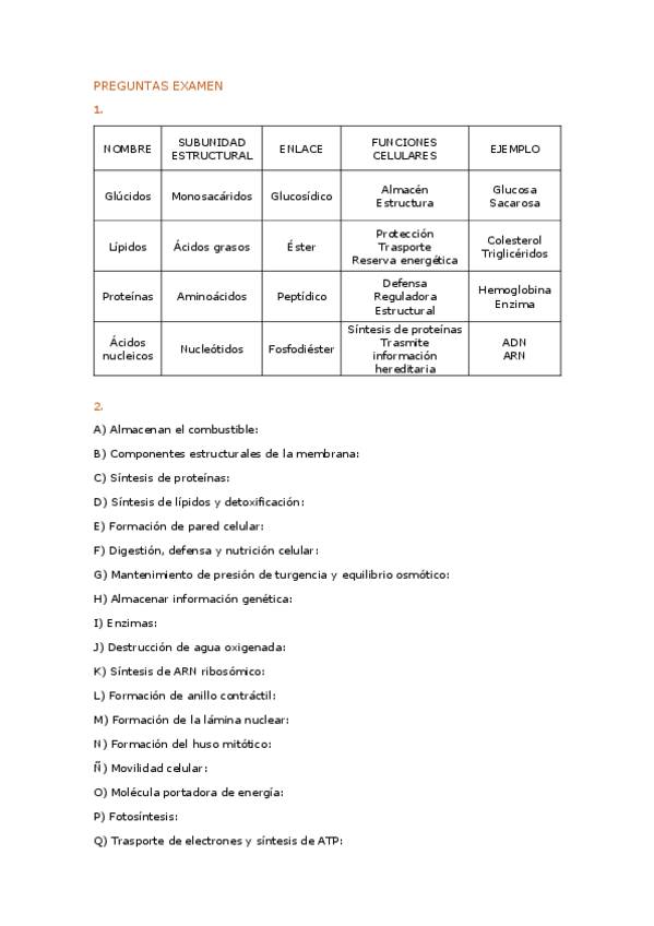 Miniatura del documento preguntas de examenes.pdf