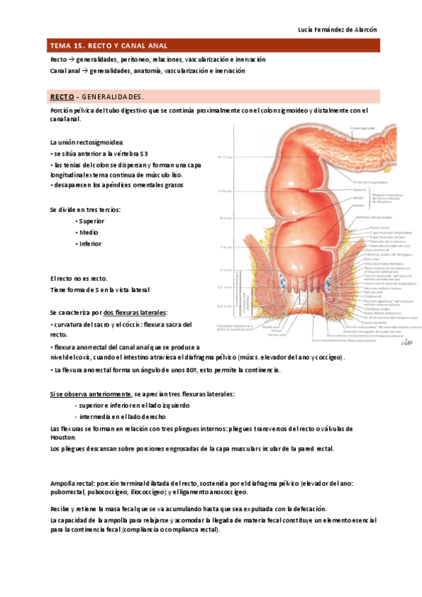 Miniatura del documento tema-15-ANAT-DRURE.pdf