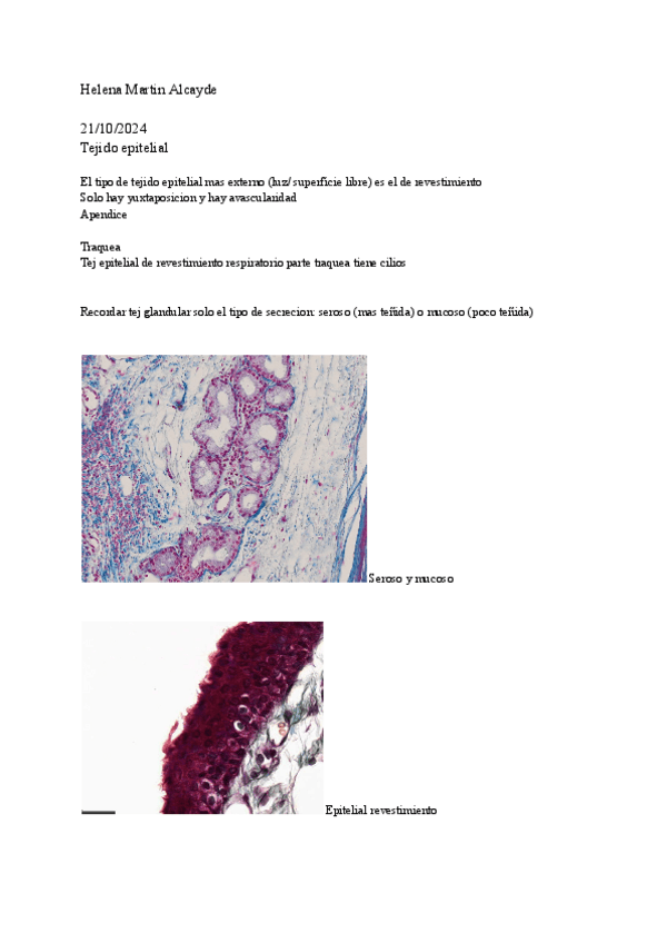Miniatura del documento Practicas-histologia-2.pdf