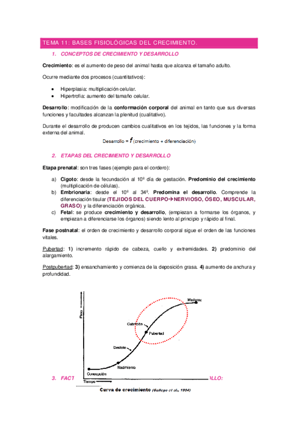 Miniatura del documento Tema-11-apuntes-zoo.pdf