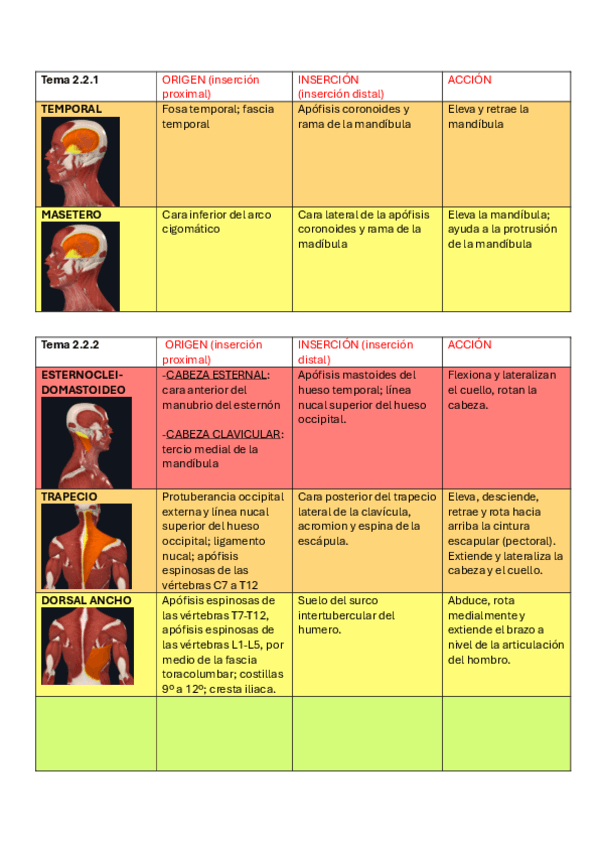 Miniatura del documento tabla-musculos.pdf