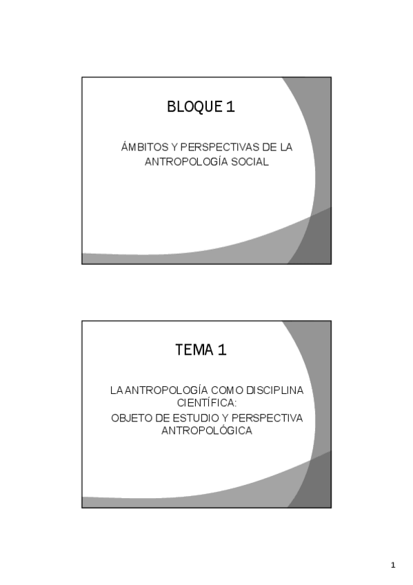 Miniatura del documento Temas-1-y-2.-Ambitos-y-perspectiva-de-la-Antropologia-Social-v1.pdf