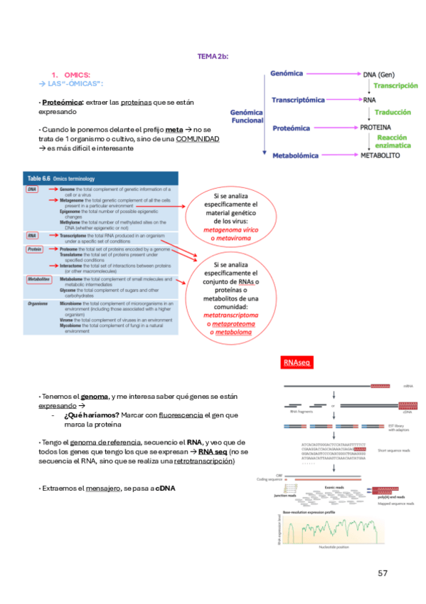 Miniatura del documento TEMA-2b-AMIC.pdf