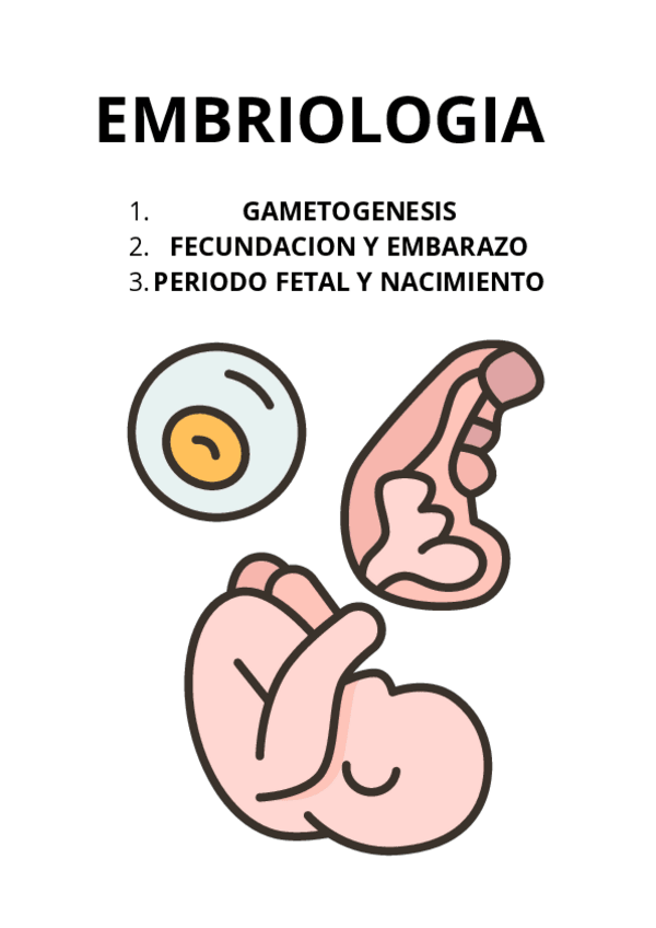 Miniatura del documento ANATOMIA-tema-1--embriologia.pdf