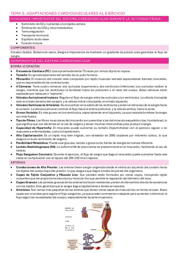 Miniatura del documento Tema-5.pdf