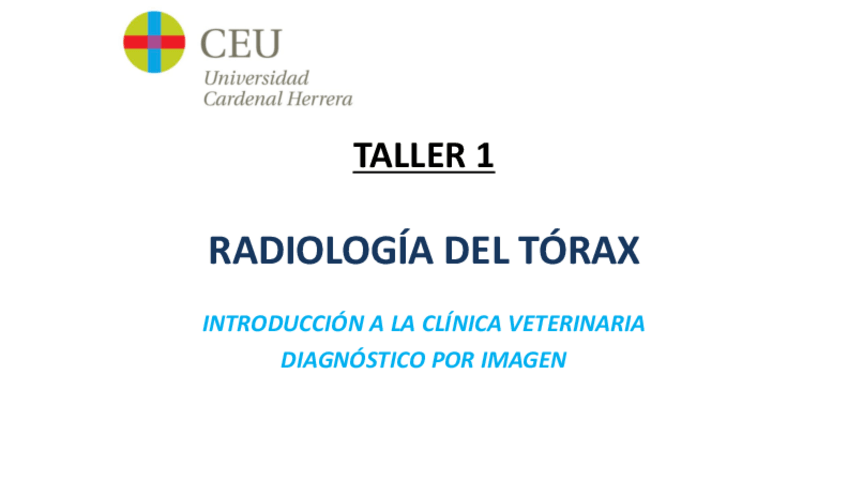 Miniatura del documento Diagnostico-Taller-1.-Torax.pdf