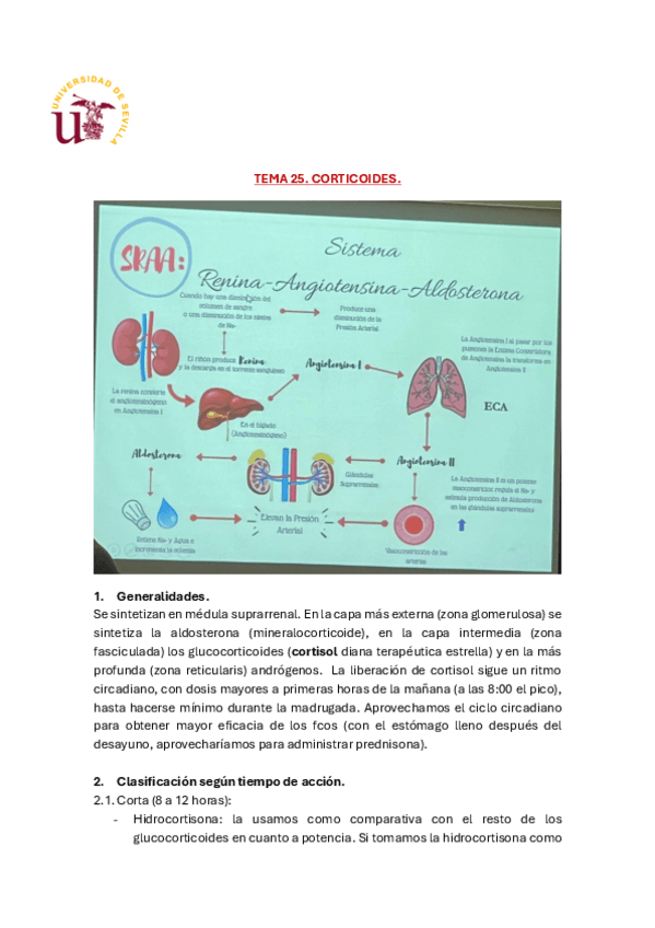 Miniatura del documento FARMA-Tema-25..pdf