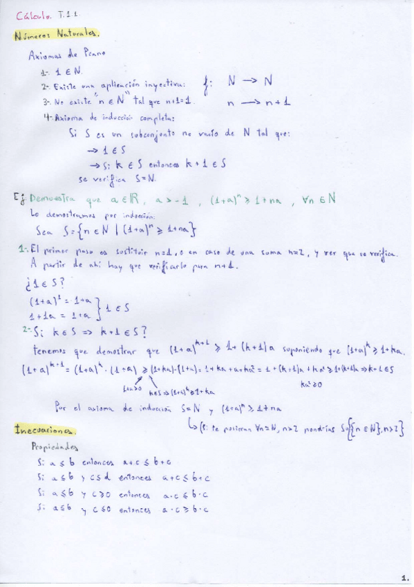 Miniatura del documento Tema-1-Numeros-Reales-y-Complejos.pdf