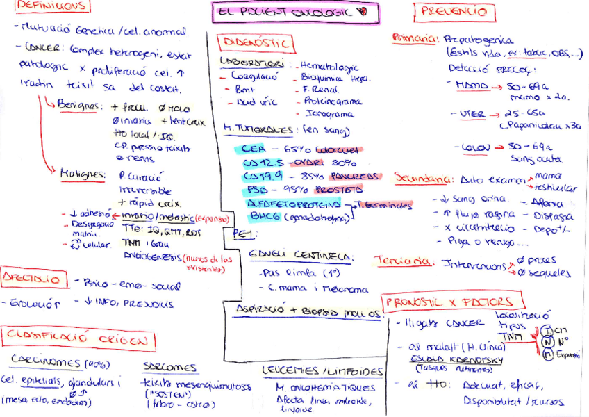 Miniatura del documento Pacient-Oncologic-1.pdf
