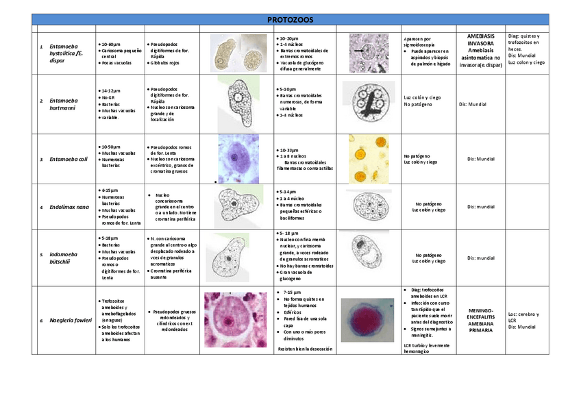 Miniatura del documento PARASITOS DEFINITIVA.pdf