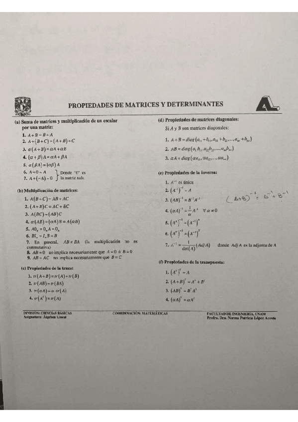 Miniatura del documento MATRICES-PROPIEDADES.pdf